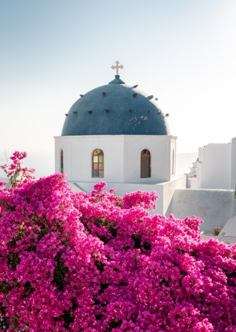 Plakat Typowa Architektura Santorini I Kwitnąca Bugenwilla