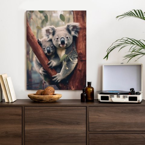 Plakat Dwa Misie Koala Na Gałęzi
