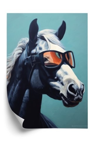 Plakat Koń Ubrany W Okulary