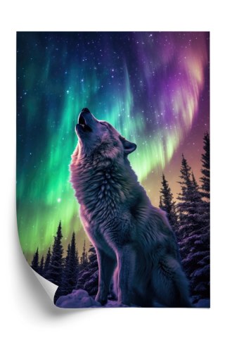 Plakat Wilk Wyjący I Zorza Polarna