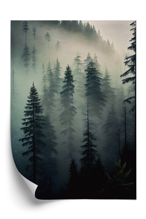 Plakat Drzewa W Mglistym Lesie
