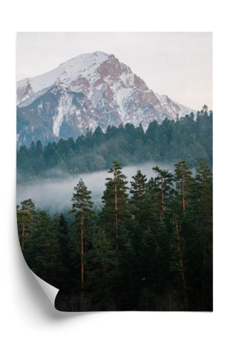 Plakat Górski Zielony Las We Mgle