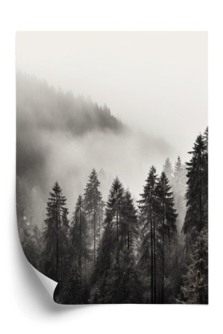 Plakat Halny Las Z Gęstą Mgłą