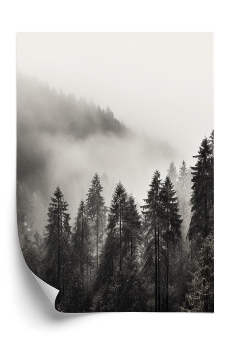 Plakat Halny Las Z Gęstą Mgłą