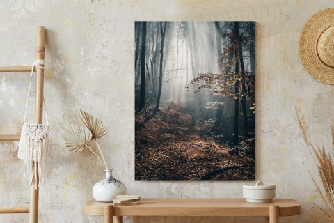 Plakat Jesienny Las Z Promieniami Słońca O Poranku