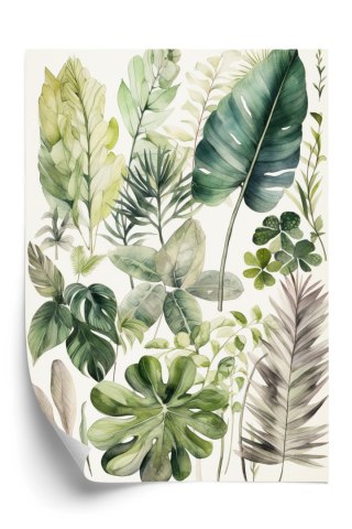 Plakat Kolekcja Roślin Zielone Liście