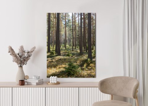 Plakat Las Sosnowy Wiosenną Porą