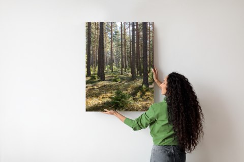 Plakat Las Sosnowy Wiosenną Porą