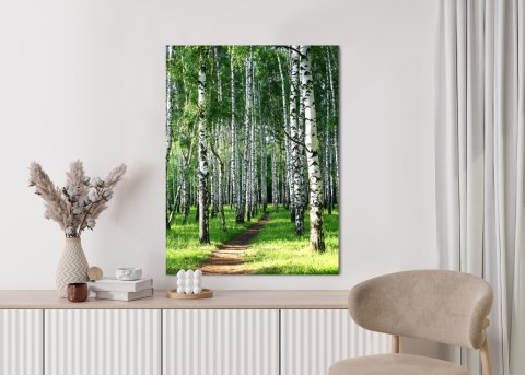 Plakat Letni Poranek W Zielonym Lesie Brzozowym