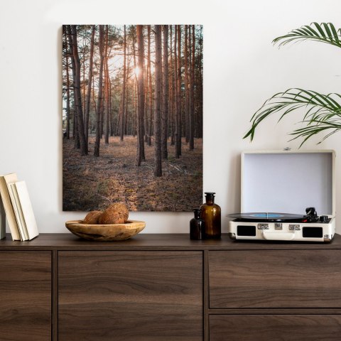 Plakat Mistyczny Krajobraz Z Zachodem Słońca W Lesie