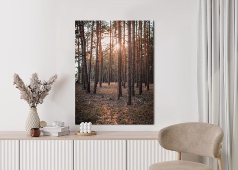 Plakat Mistyczny Krajobraz Z Zachodem Słońca W Lesie