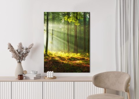 Plakat Piękny Poranek W Zielonym Lesie