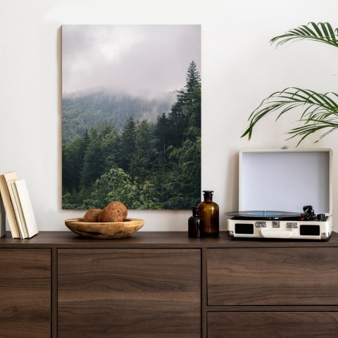 Plakat Poranek W Górach Z Mgłą Nad Zielonym Lasem
