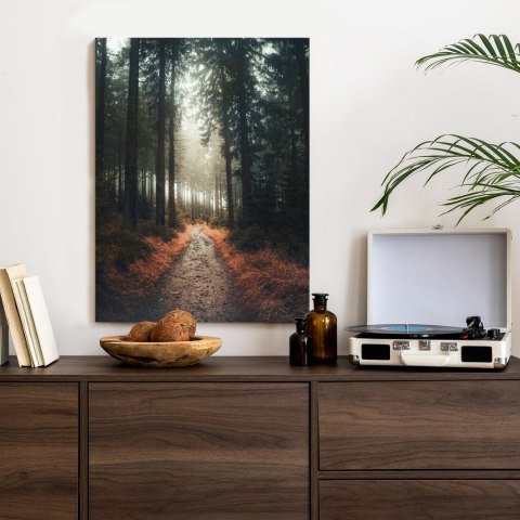 Plakat Ścieżka W Lesie W Mglisty Poranek