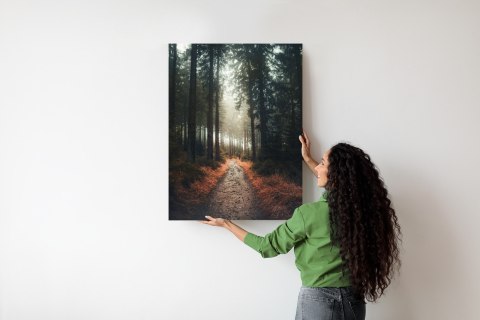 Plakat Ścieżka W Lesie W Mglisty Poranek