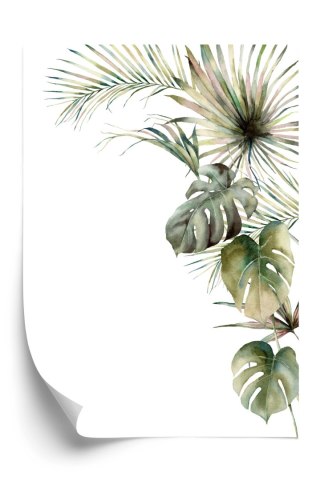 Plakat Roślinność Palma I Monstera Na Białym Tle Akwarela
