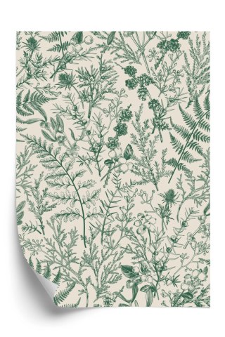 Plakat Zielone Rośliny Na Beżowym Tle Botaniczny Wzór