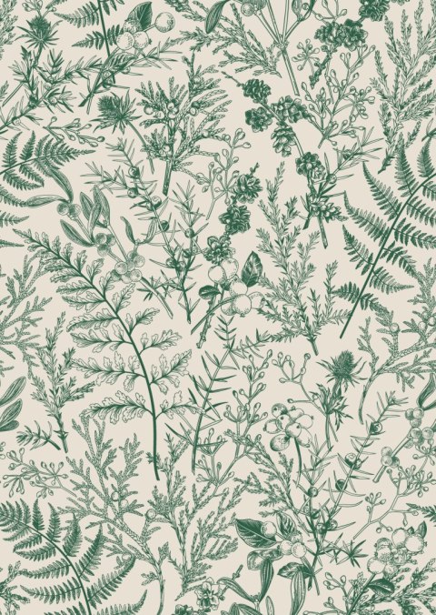 Plakat Zielone Rośliny Na Beżowym Tle Botaniczny Wzór