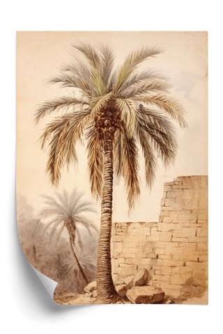 Plakat Ilustracja Palmy Przy Starym Murze