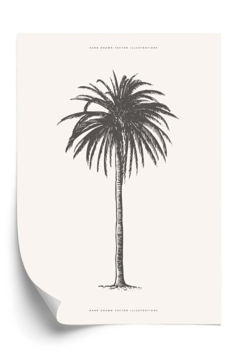 Plakat Ilustracja Szarej Palmy Vintage