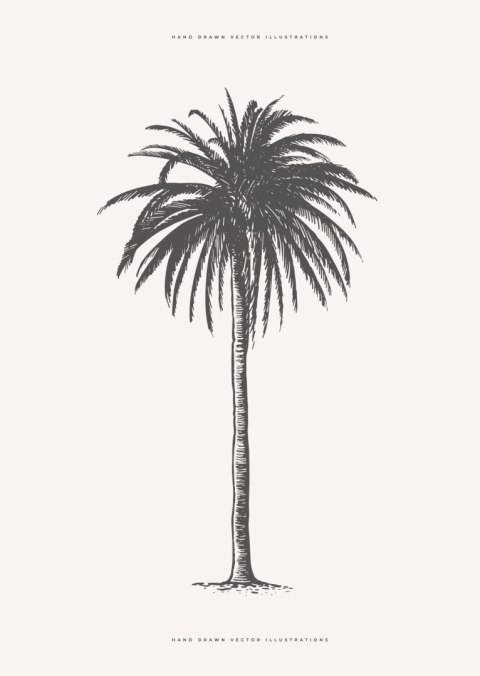 Plakat Ilustracja Szarej Palmy Vintage