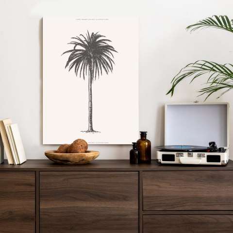 Plakat Ilustracja Szarej Palmy Vintage