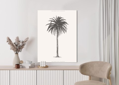 Plakat Ilustracja Szarej Palmy Vintage