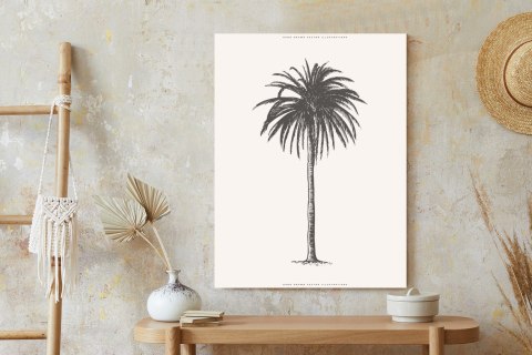 Plakat Ilustracja Szarej Palmy Vintage