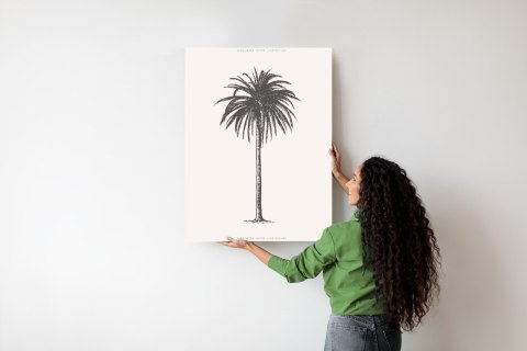 Plakat Ilustracja Szarej Palmy Vintage