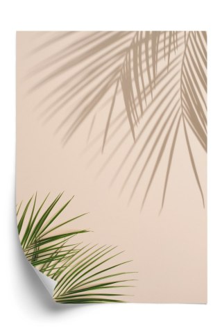Plakat Letnie Naturalne Zielone Liście Palmowe I Cienie