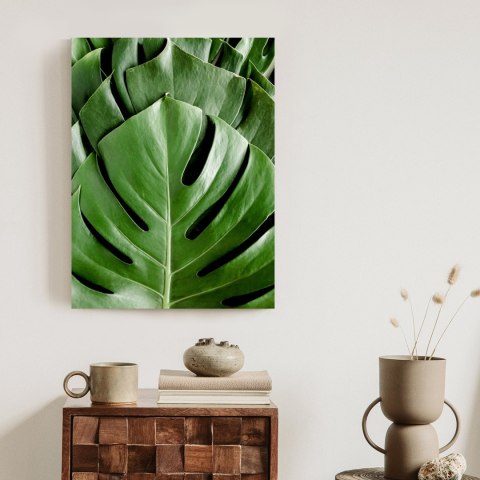 Plakat Monstera Liście Palmowe