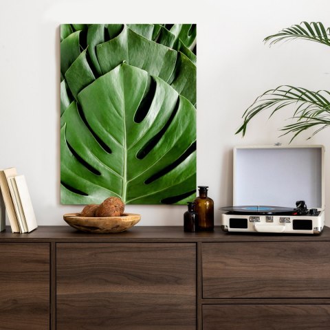 Plakat Monstera Liście Palmowe