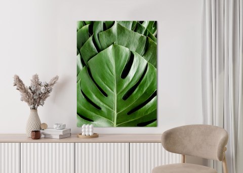 Plakat Monstera Liście Palmowe