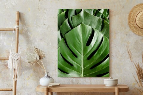 Plakat Monstera Liście Palmowe