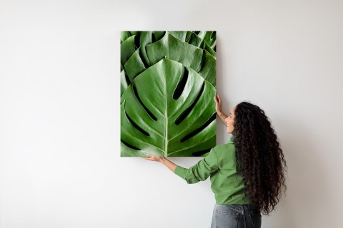 Plakat Monstera Liście Palmowe