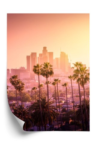 Plakat Panorama Los Angeles Z Palmami I Zachodem Słońca