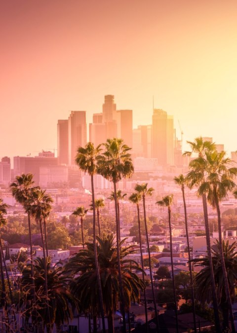 Plakat Panorama Los Angeles Z Palmami I Zachodem Słońca