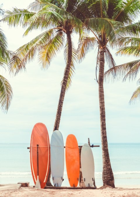 Plakat Surfing I Drzewa Palmowe