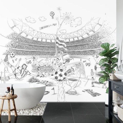 Fototapeta Piłka Nożna Stadion