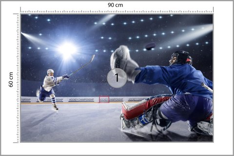 Fototapeta Strzał Hokeisty