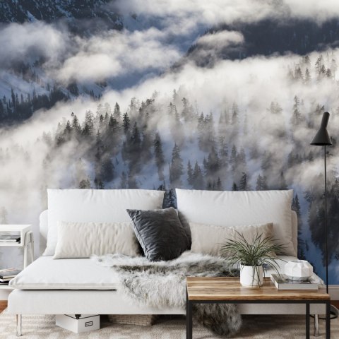 Fototapeta Las We Mgle