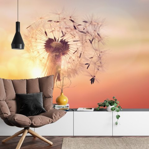 Fototapeta Optyczna Dmuchawiec