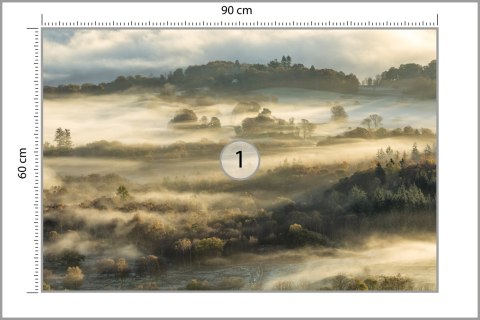 Fototapeta Las We Mgle