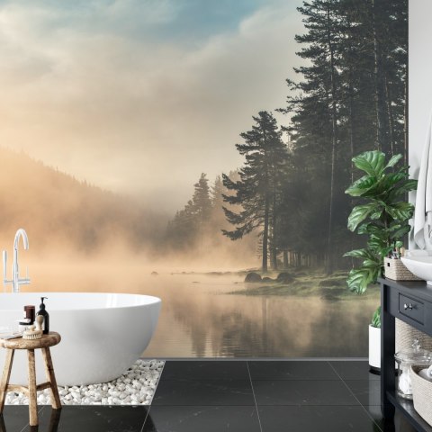 Fototapeta Las We Mgle