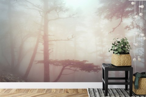 Fototapeta Las We Mgle