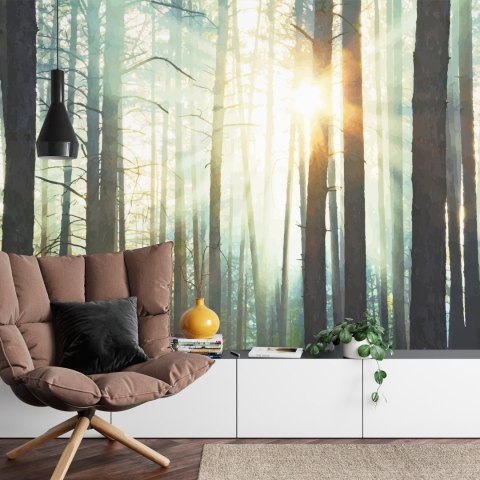 Fototapeta Las We Mgle