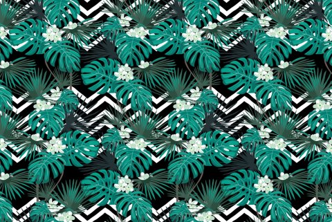 Fototapeta Liście Monstera