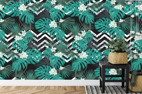 Fototapeta Liście Monstera