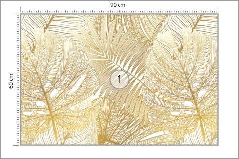 Fototapeta Liście Monstera