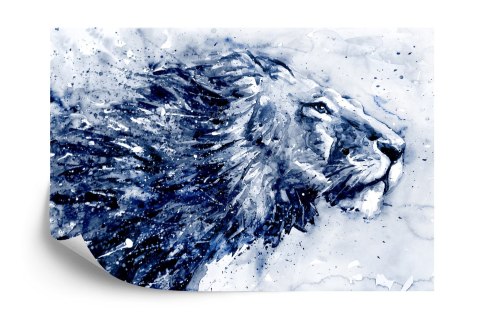 Fototapeta Majestatyczny Lew